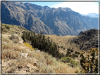 foto Canyon del Colca